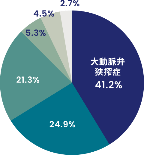 心臓弁膜症の内訳を示した円グラフ 大動脈弁狭窄症が41.2%、左室連合弁膜症が24.9%、僧帽弁閉鎖不全症が21.3%、大動脈弁閉鎖不全症が5.3%、僧帽弁狭窄症が4.5%、右室連合弁膜症が2.7%