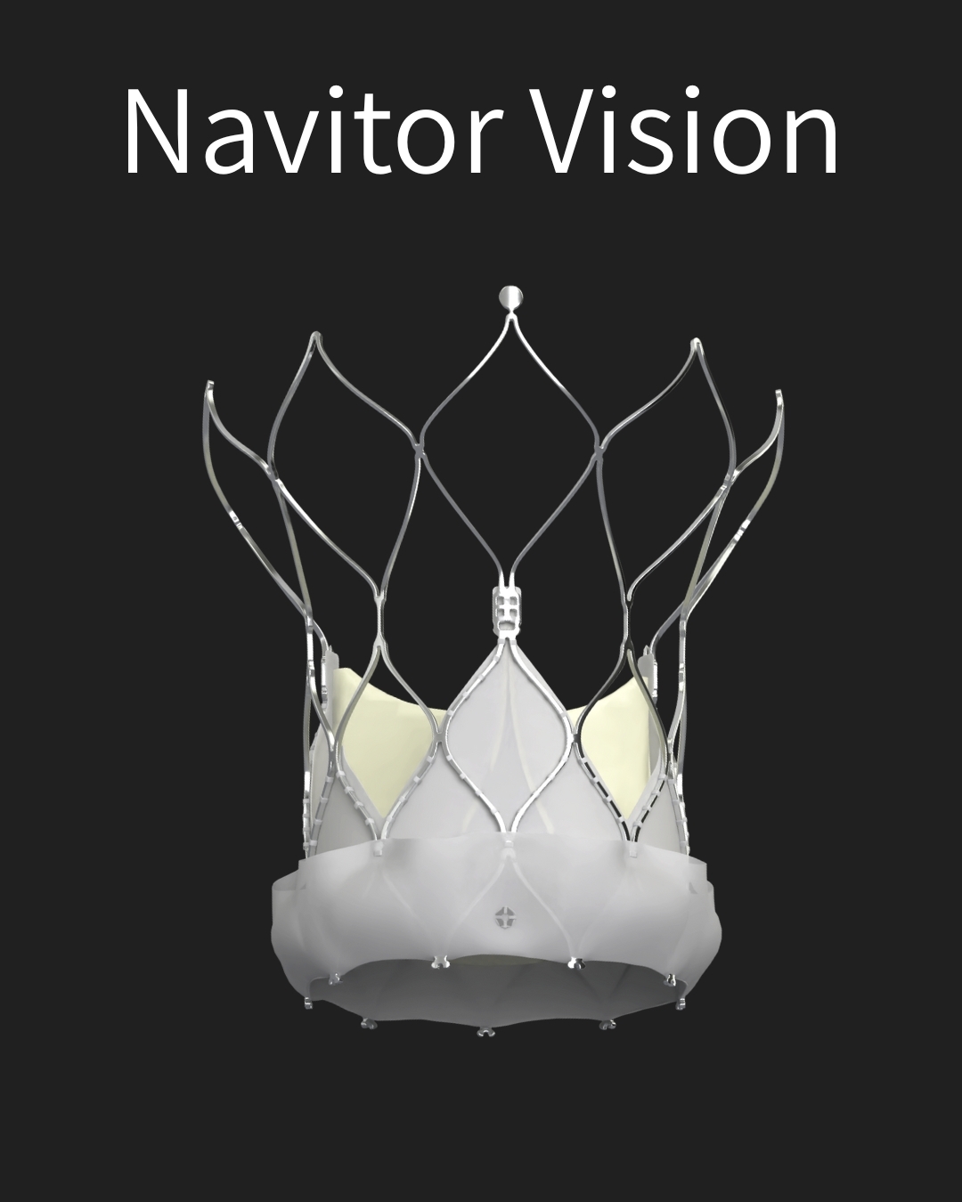 NavitorVision